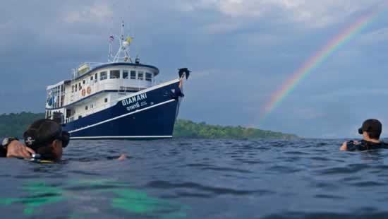 Immersioni - Diving a Samui