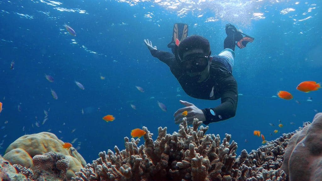 Phuket snorkeling alle isole Surin