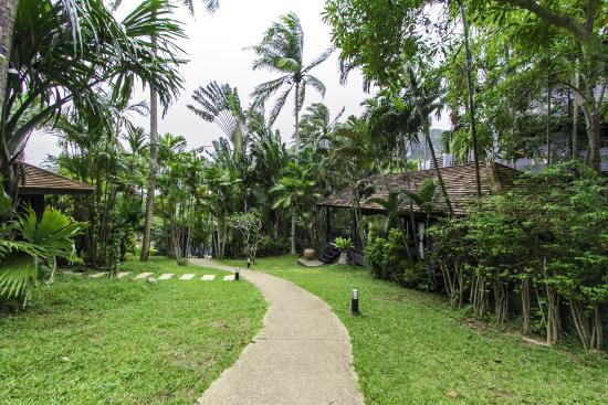 Krabi Hotels - Marina Express - Giardino